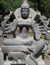 Shakti